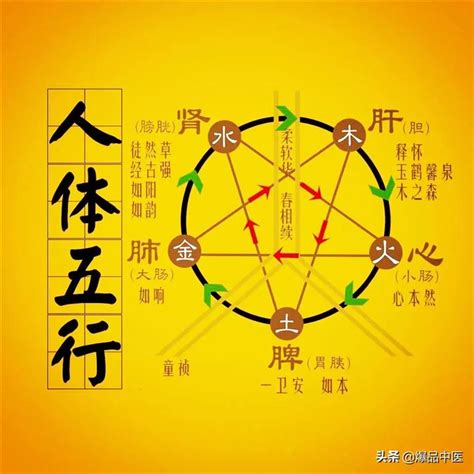 五行經絡|入門中醫必讀，一文讀懂五行學說！